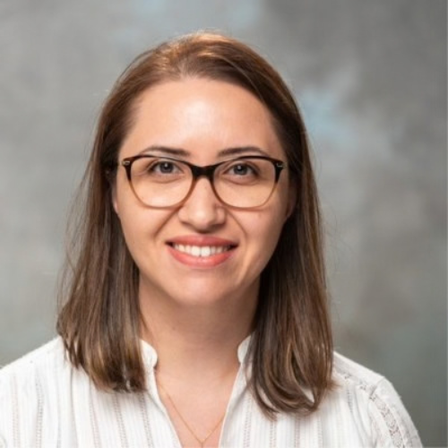 Mona Amrihesari (Technobis)